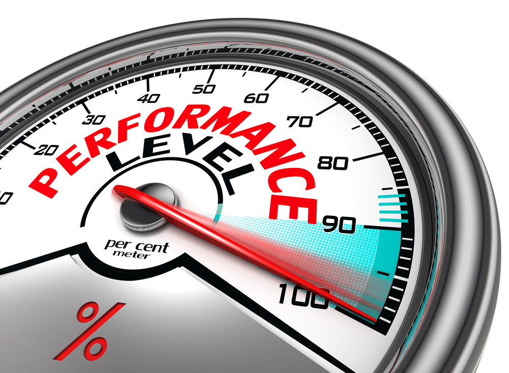 The Puzzle Of Performance Goals